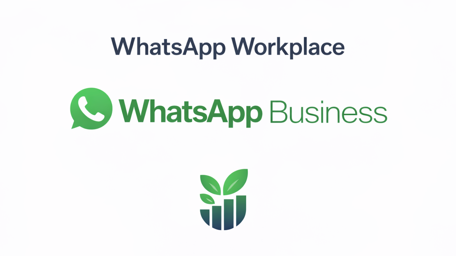 Lesson Three: WhatsApp Workplace